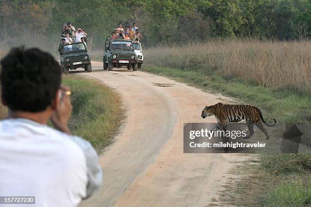 Kanha National Park Tour Package